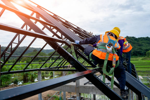 Best Roof Gutter Cleaning  in Enochville, NC